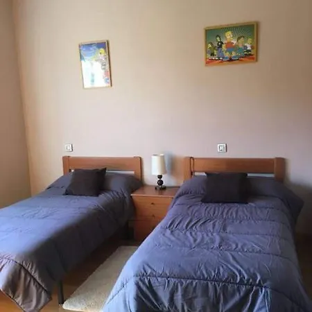 Pisos Turisticos -teresa Barros Apartment